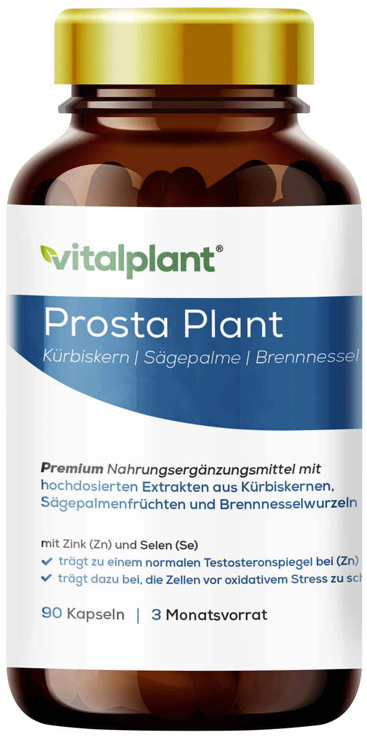 Prosta Plant