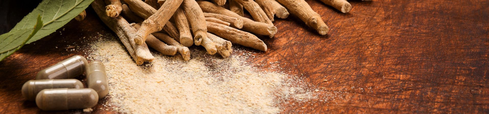 Unsere Vitalplant Neuheiten