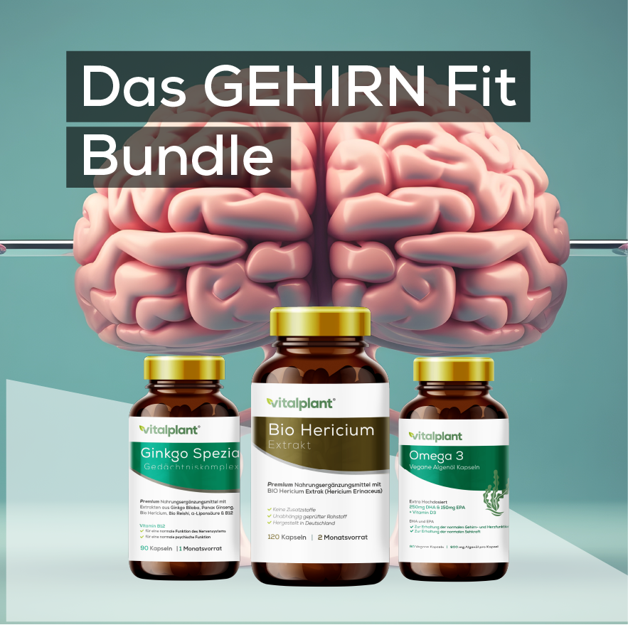 Das GEHIRN Fit - Bundle