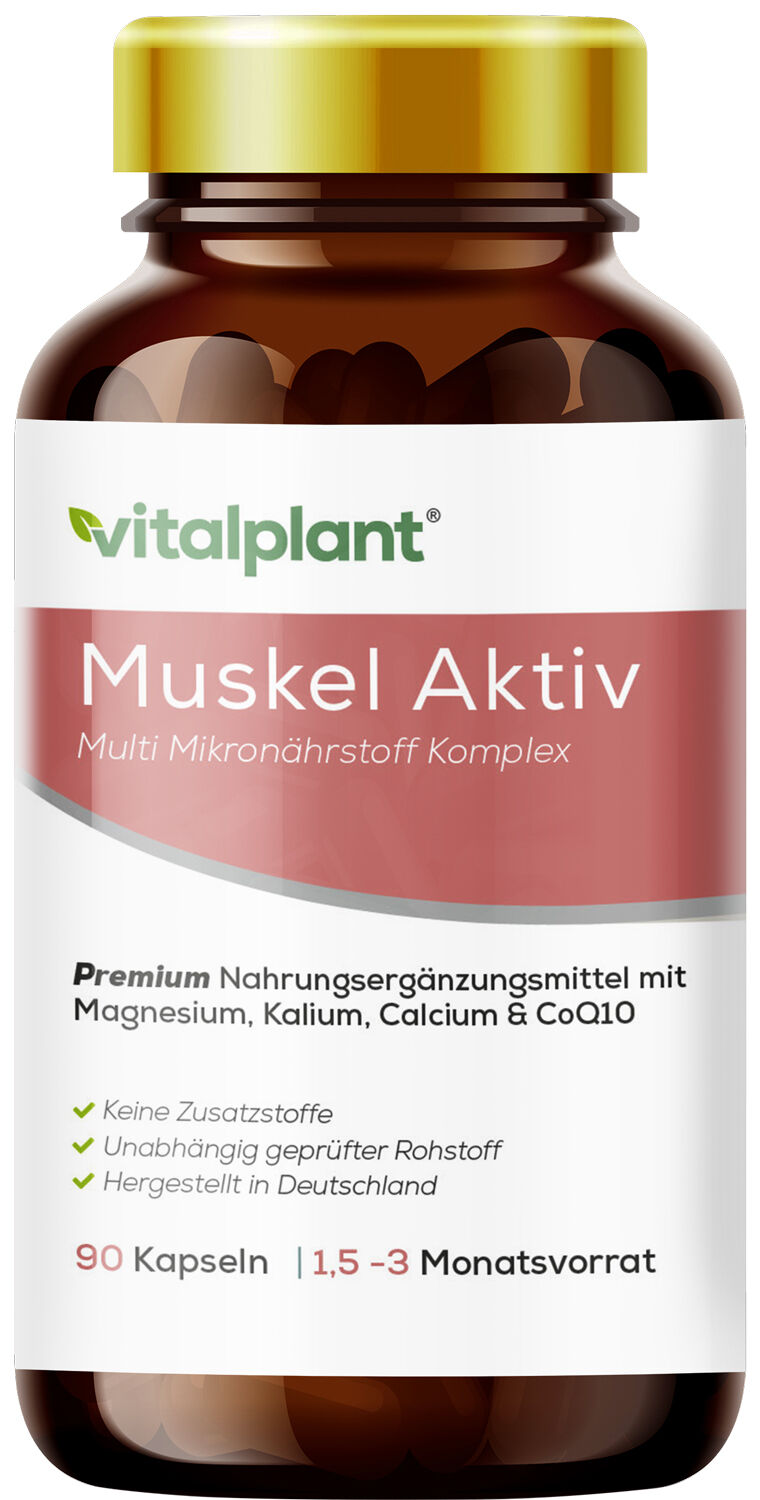 Muskel aktiv