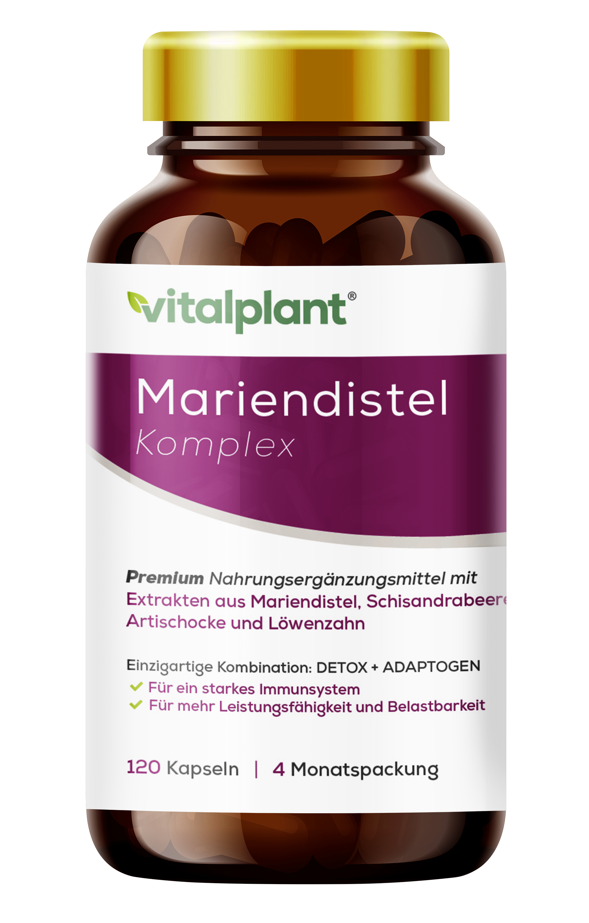 Mariendistel-Komplex