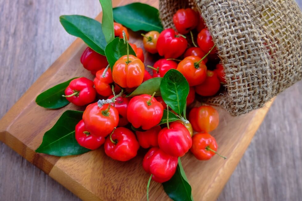 Acerola